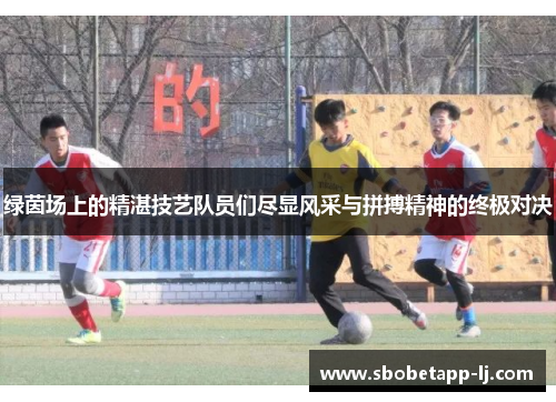 绿茵场上的精湛技艺队员们尽显风采与拼搏精神的终极对决