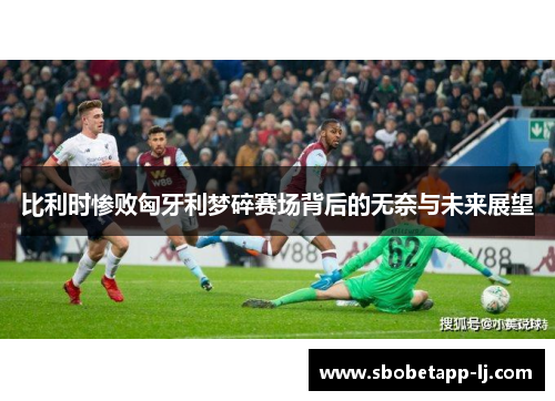 比利时惨败匈牙利梦碎赛场背后的无奈与未来展望