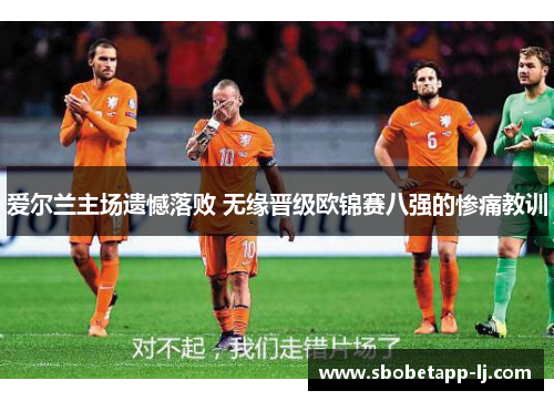 爱尔兰主场遗憾落败 无缘晋级欧锦赛八强的惨痛教训