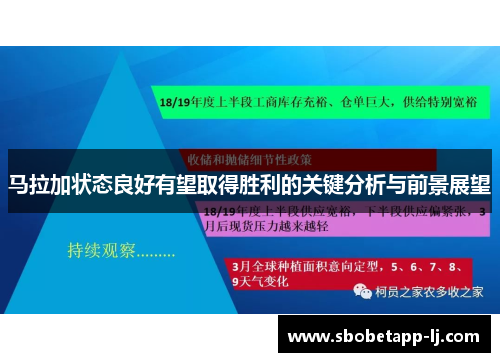 马拉加状态良好有望取得胜利的关键分析与前景展望