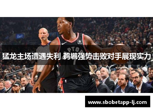 猛龙主场遭遇失利 鹈鹕强势击败对手展现实力
