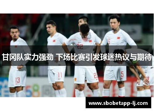 甘冈队实力强劲 下场比赛引发球迷热议与期待