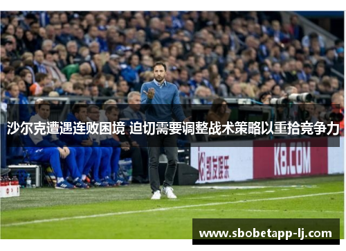 沙尔克遭遇连败困境 迫切需要调整战术策略以重拾竞争力