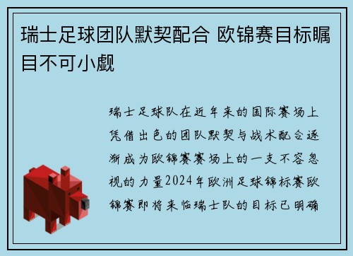 瑞士足球团队默契配合 欧锦赛目标瞩目不可小觑